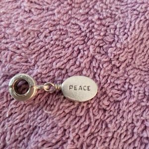 Reversible peace charm